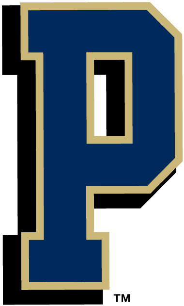 Pittsburgh Panthers 1997-Pres Alternate Logo diy DTF decal sticker